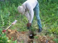 Soil Samples
