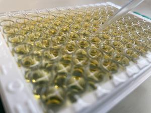 Platelet ELISA