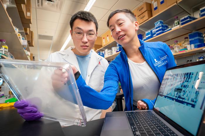 Screening approach enhances CRISPR genome-editing efficiency