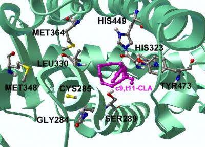 The CLA Molecule Has an Impact on Crohn's Disease