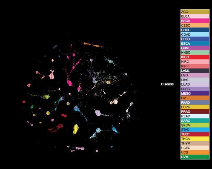 UCSC Tumor Map