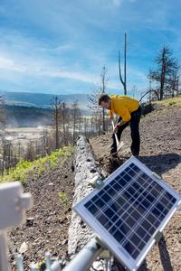 Wildfire technology