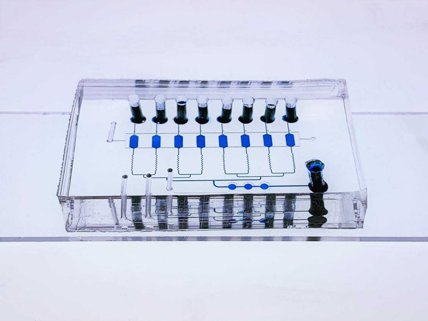 Nanopatterned "Lab-On-A-Chip" Noninvasively Detects Early and Advanced Breast Cancer (3 of 4)