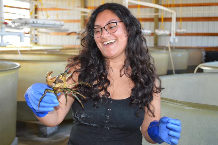 Alexis Anaya holds a green crab