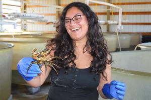 Alexis Anaya holds a green crab