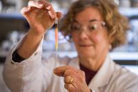 Chromatographic Column 