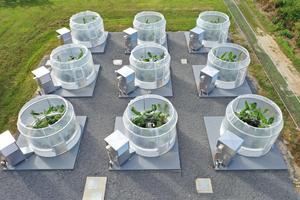 TropOz experimental facility