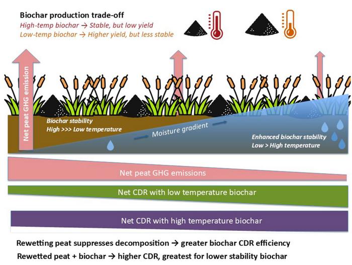 Harnessing peatland rewetting for effective biochar-based carbon dioxide removal