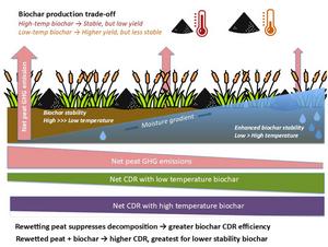 Harnessing peatland rewetting for effective biochar-based carbon dioxide removal