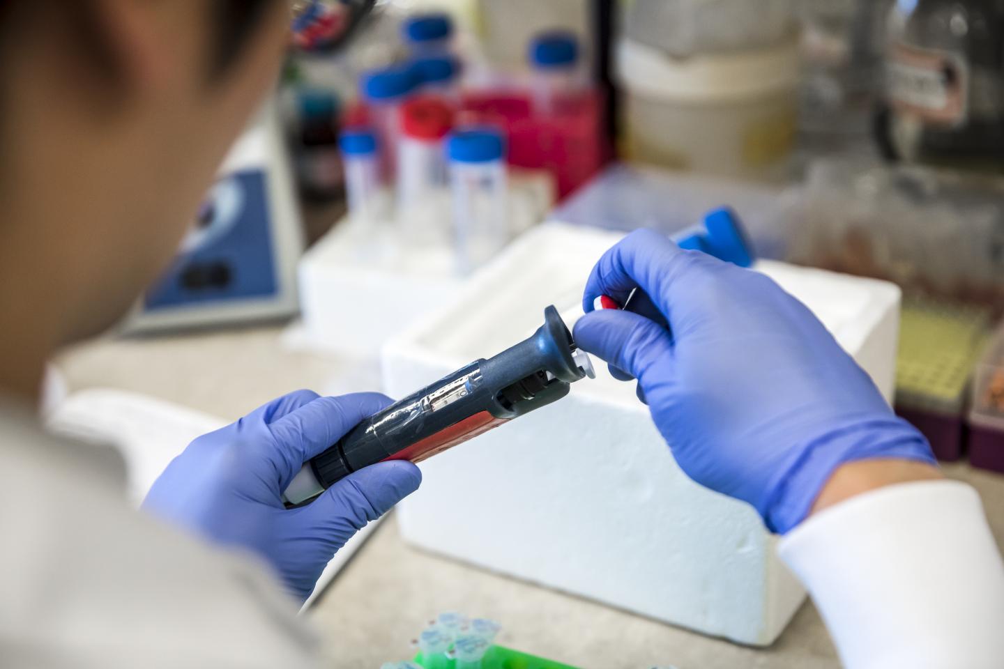 Pipetting in Lab