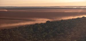 Fires, droughts, and windstorms reduce the diversity of Amazonian vegetation