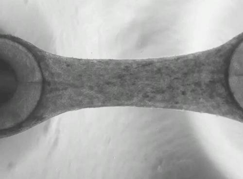 3D engineered heart tissue
