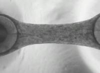 3D engineered heart tissue