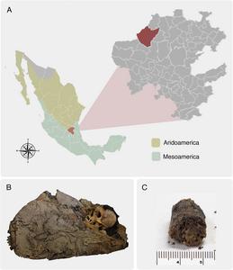 Microbiome characterization of a pre-Hispanic man from Zimapán, Mexico: Insights into ancient gut microbial communities