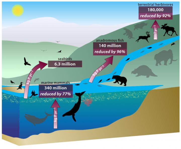Potential Interlinked System Of Recycling Nutrients