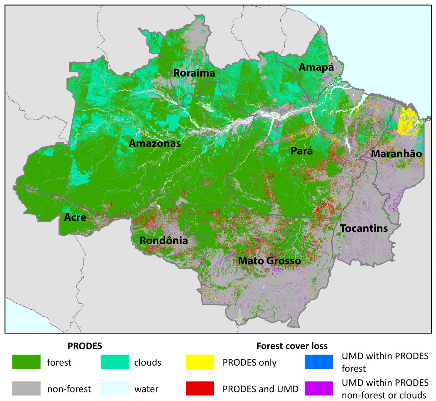 Branching Out Beyond Native Forests to Track Tree Loss in the Amazon (1 of 3)