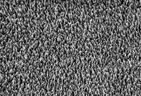 Dragonfly wing (magnified)