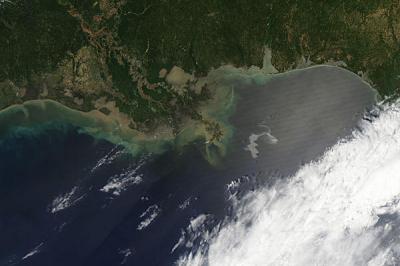 Gulf Coast