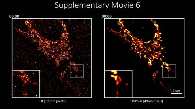Live Imaging with and without Decrapification Filters
