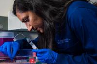 Rice University Graduate Student Krishna Badhiwala