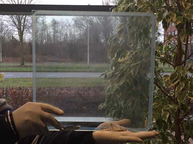 TUe-Smart Windows-Khandelwal