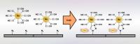 Chemical Reaction Used at IPC to Bond Gold Nanoparticles to Carbon Substrate