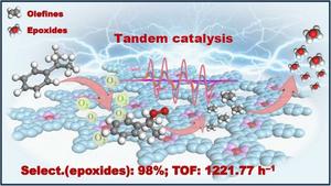 Graphical abstract of this research