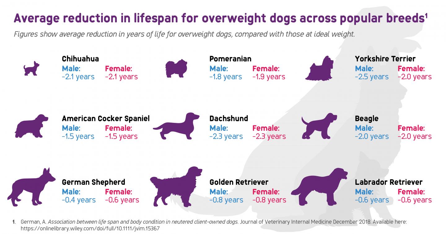 Infographic 3
