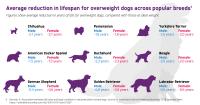 Infographic 3
