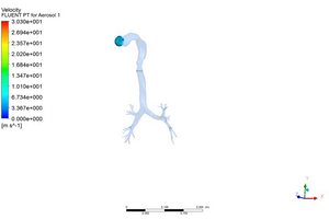 Drug particles travelling through the respiratory tract
