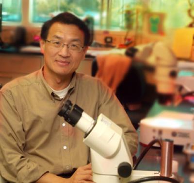 Dr. Lin Mei