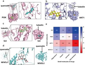 Molecular docking of the main components of HXTL and pathway-related proteins