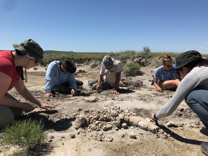 Excavation in the U.S.