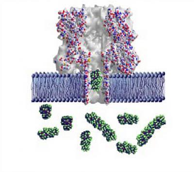DNA Sieve -- Nanoscale Pores Can Be Tiny Analysis Labs