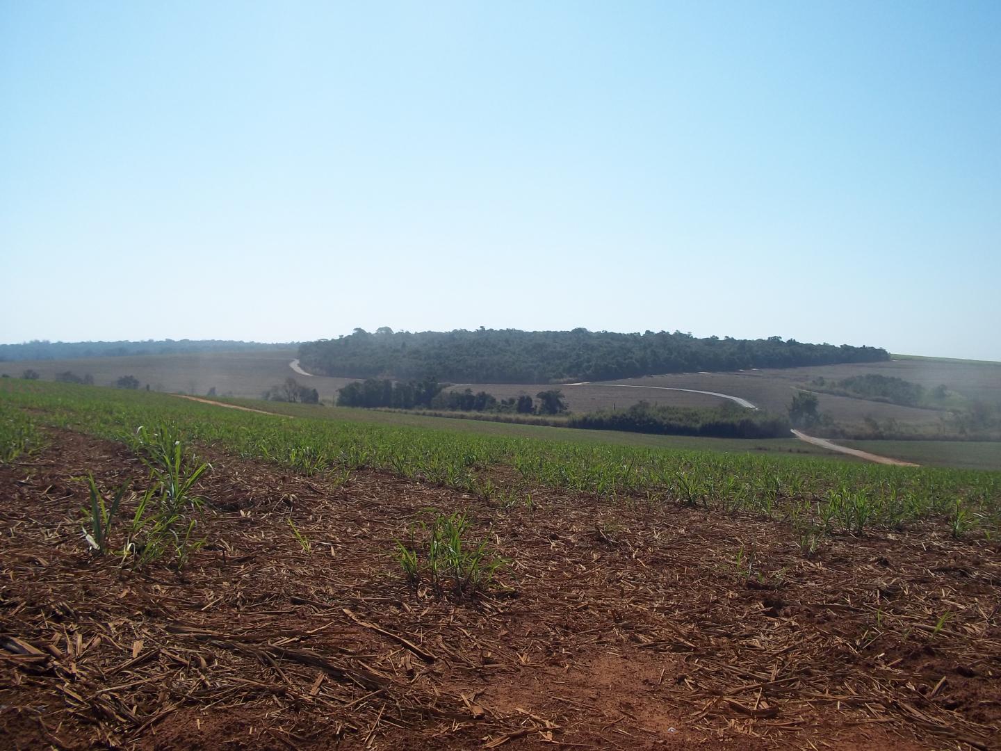 A Human-Modified Landscape in the Brazilian Atlantic Forest Depicting a Small Forest Remnant