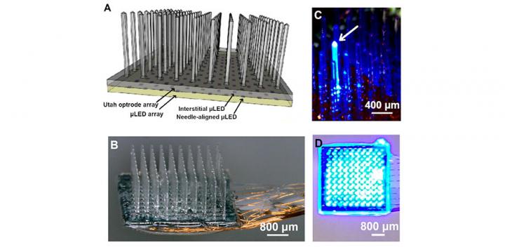 New Optical Array, Multisite Stimulator Advances Optogenetics