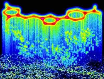 Molecule Boosts Antisense Therapy For Muscular Dystrophy (1 of 1)