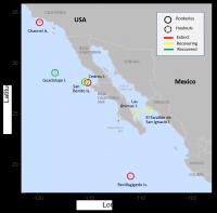 Distribution of Guadalupe fur seals