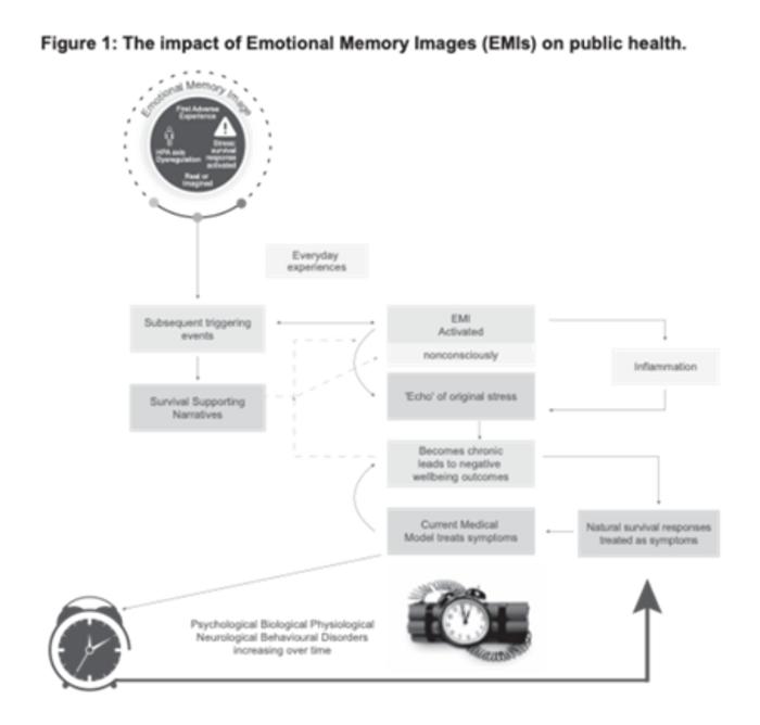The Hidden Trauma Epidemic image