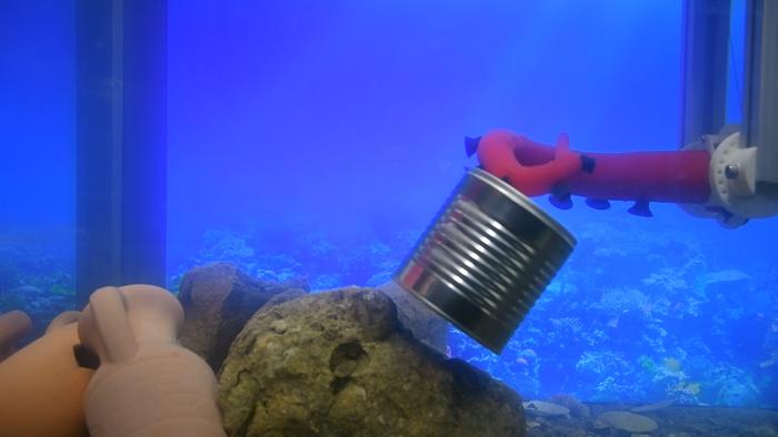 THE ROBOTIC ARM INSPIRED BY THE OCTOPUS
