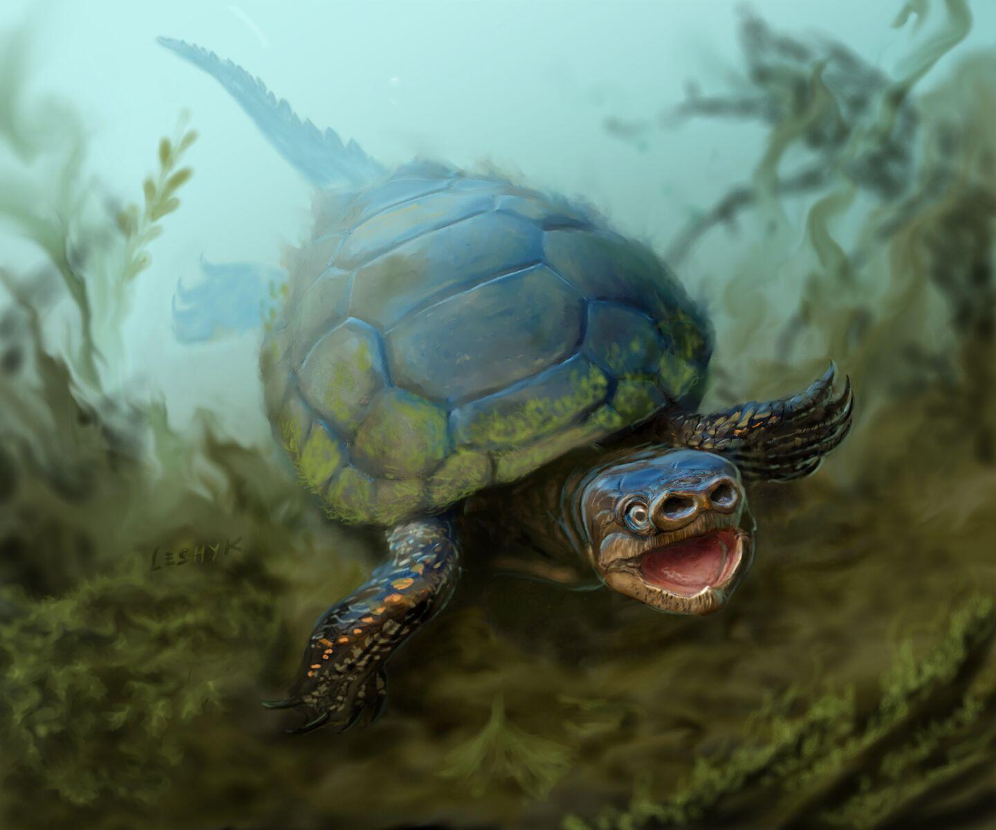 Artist's Depiction of <em>Arvinachelys goldeni</em>