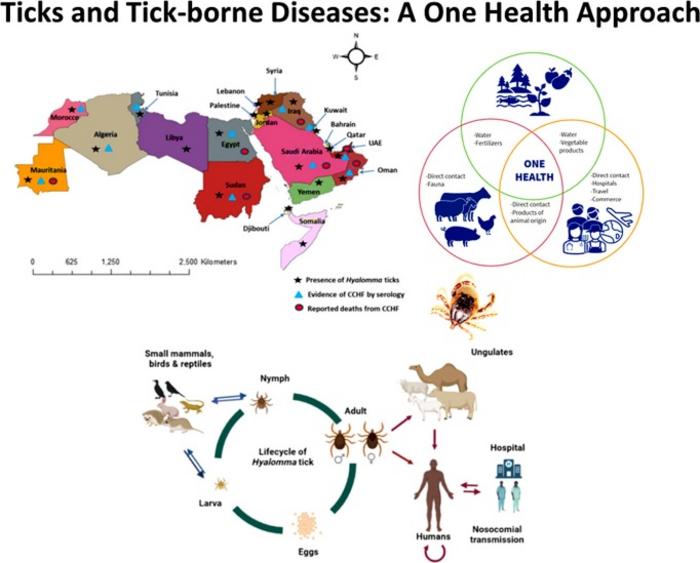 Geographic Distribution of Tick-Borne Diseases in the MENA Region and One Health Interconnections for Disease Control