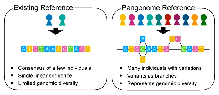 Idea of a pangenome