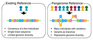 Idea of a pangenome