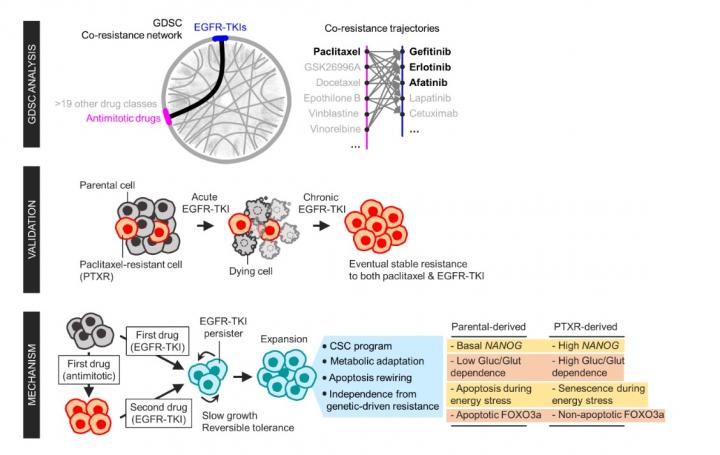 Schematic Overview