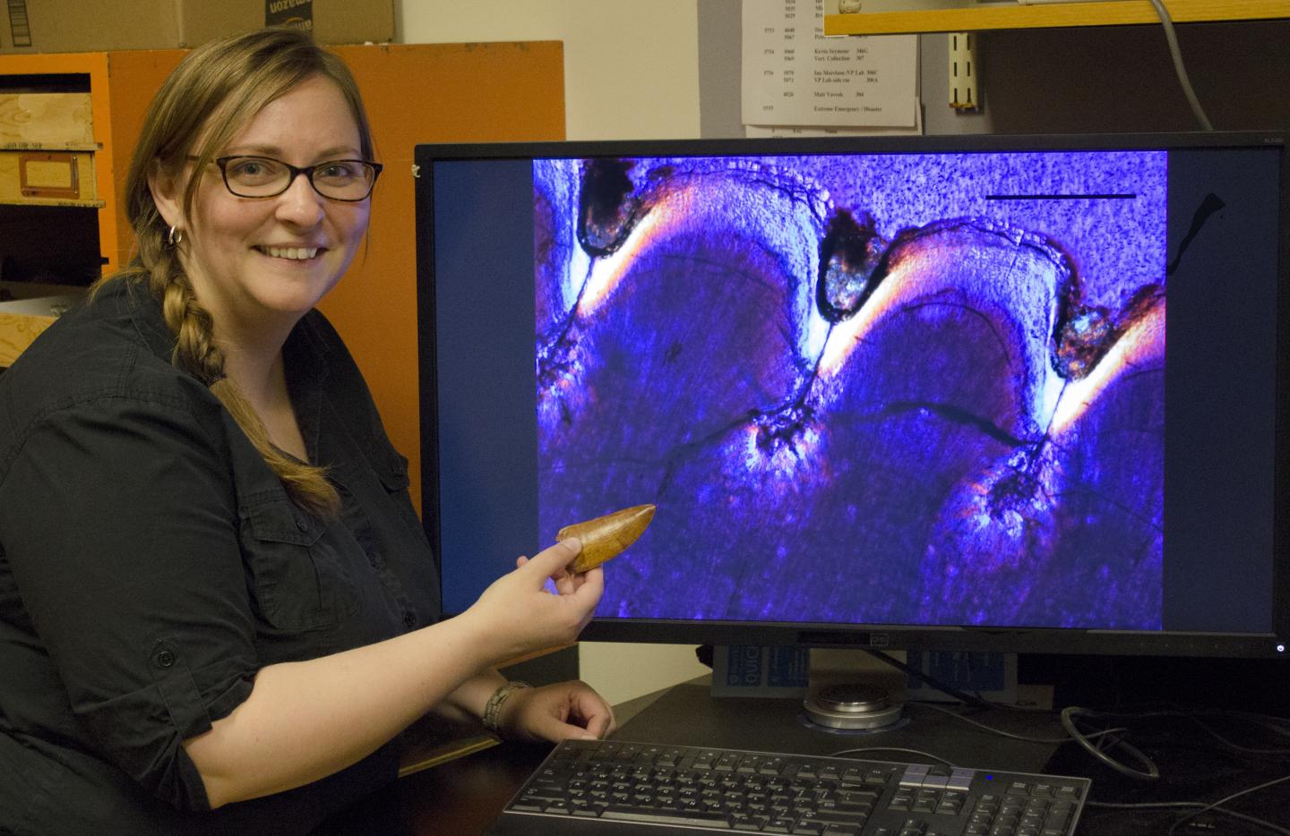 Kirstin Brink, University of Toronto Mississauga