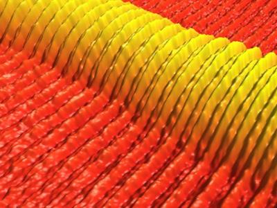 Directed Self-Assembly