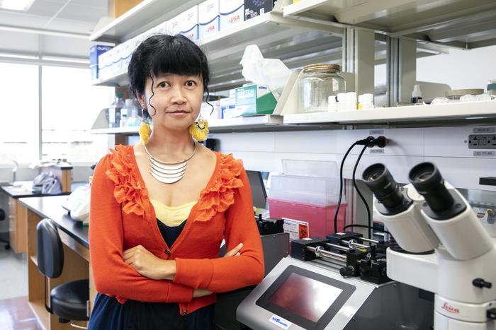 Rays Jiang - credit USF Health -16