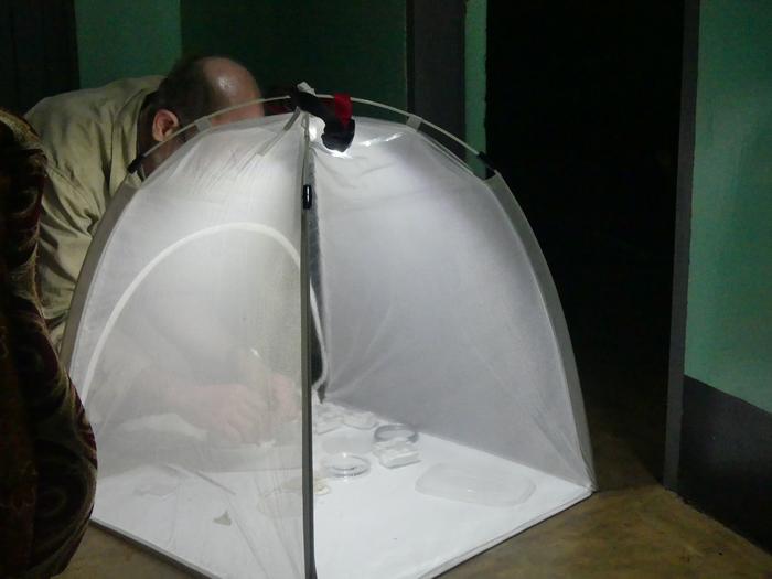 Dr Alvin Helden carrying out fieldwork2