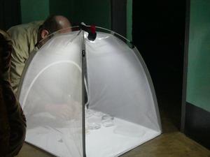 Dr Alvin Helden carrying out fieldwork2